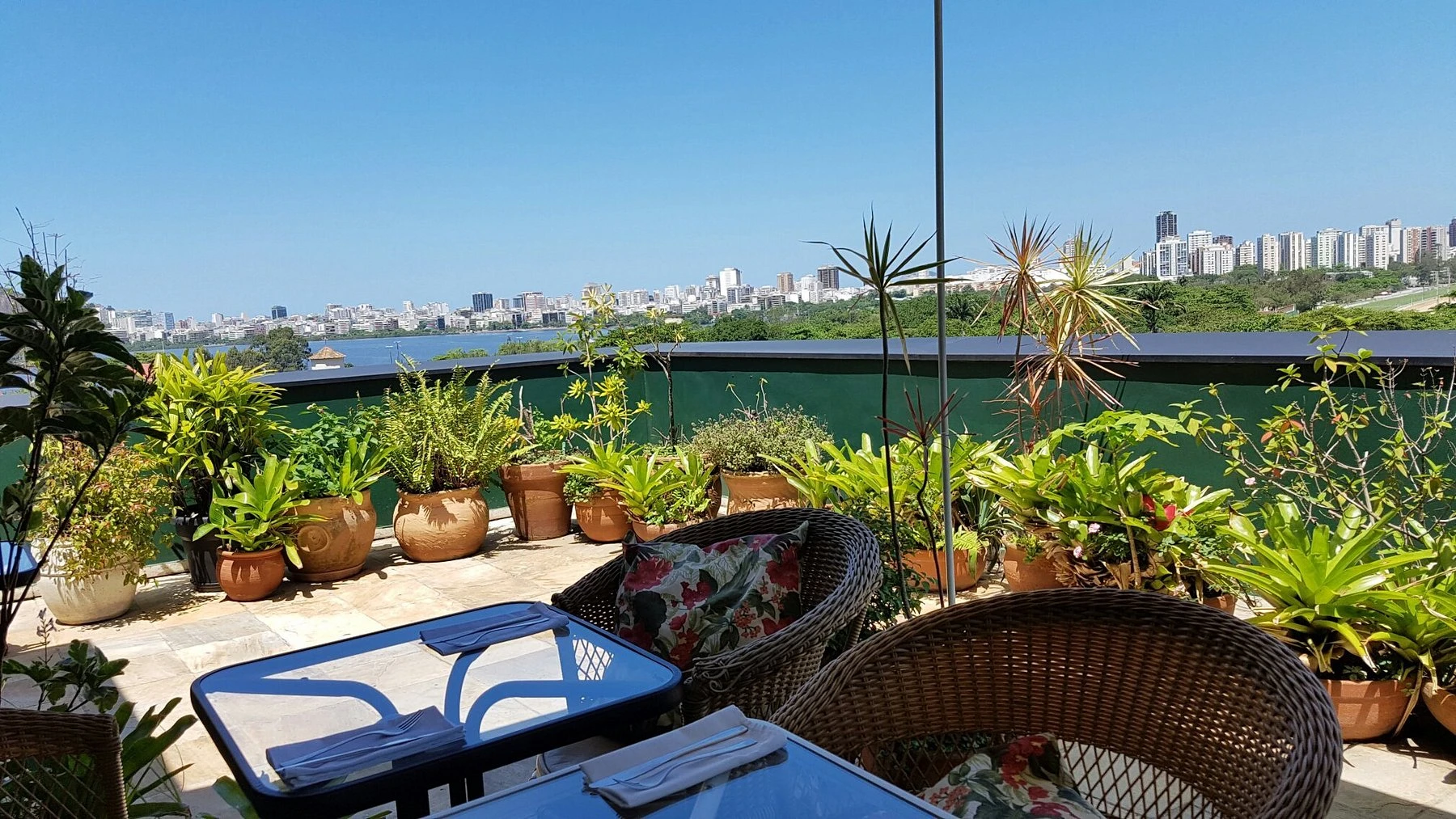 View from the Botanical Garden - Family Recipes - Image